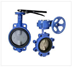Stainless Steel Butterfly Valves Supplier
