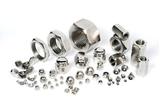 Stainless Steel Fasteners Exporter