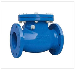 Stainless Steel Non Return Valves Supplier