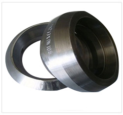 Stainless Steel Sockolet Supplier